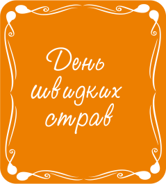 День швидких страв